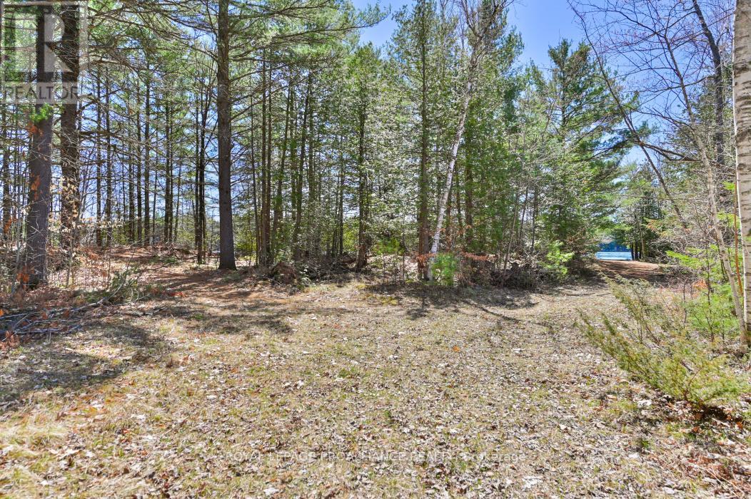 0 Baker Valley & Bebris Road, Central Frontenac, Ontario  K0H 1B0 - Photo 19 - X12024204