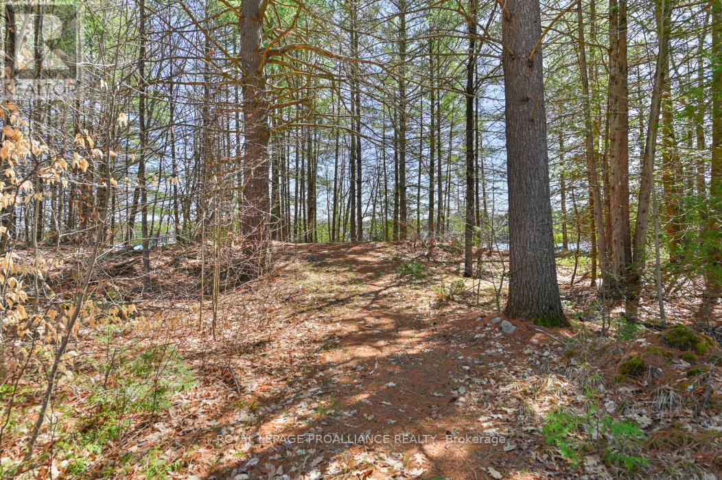 0 Baker Valley & Bebris Road, Central Frontenac, Ontario  K0H 1B0 - Photo 25 - X12024204