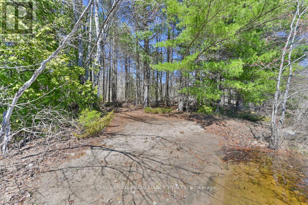0 Baker Valley & Bebris Road, Central Frontenac, Ontario  K0H 1B0 - Photo 29 - X12024204