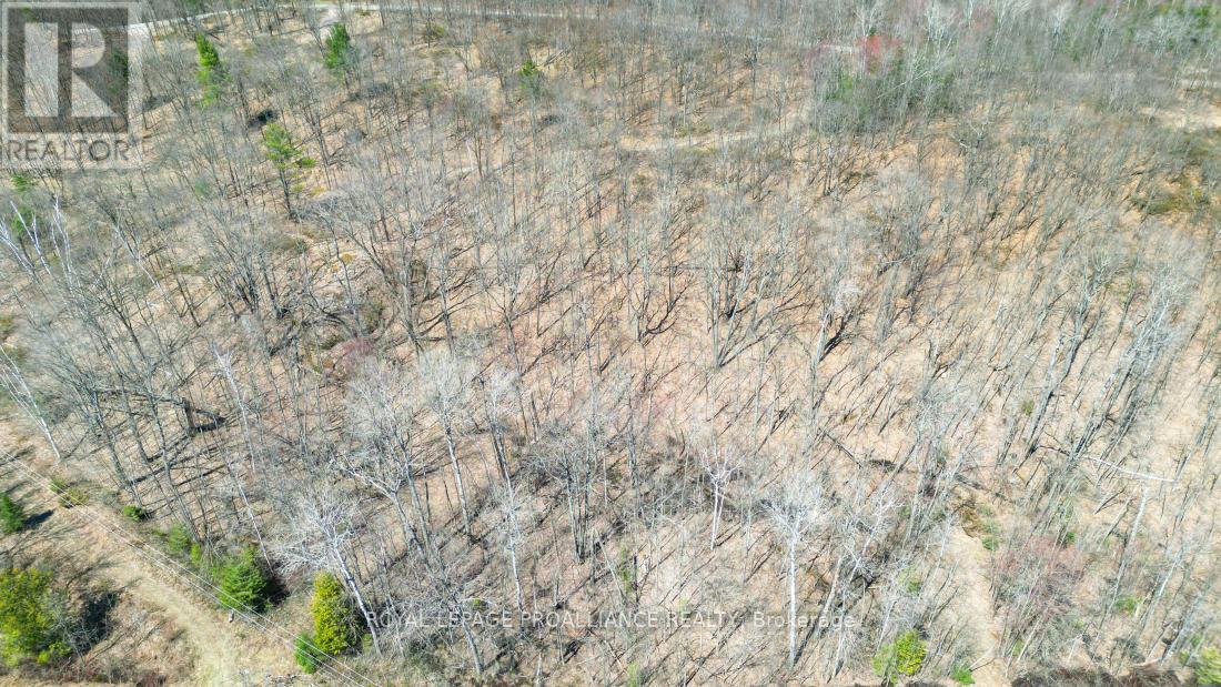 0 Baker Valley & Bebris Road, Central Frontenac, Ontario  K0H 1B0 - Photo 40 - X12024204