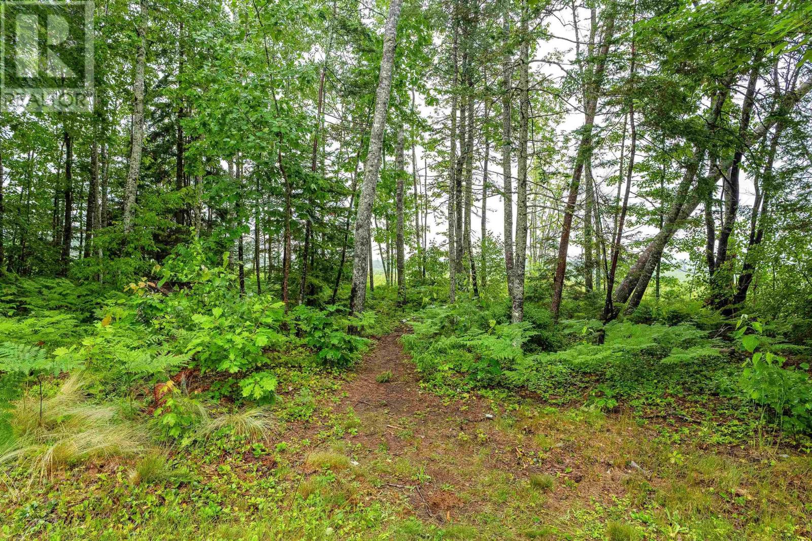 78 Birch Drive, Meadowvale, Nova Scotia  B0P 1R0 - Photo 47 - 202505080