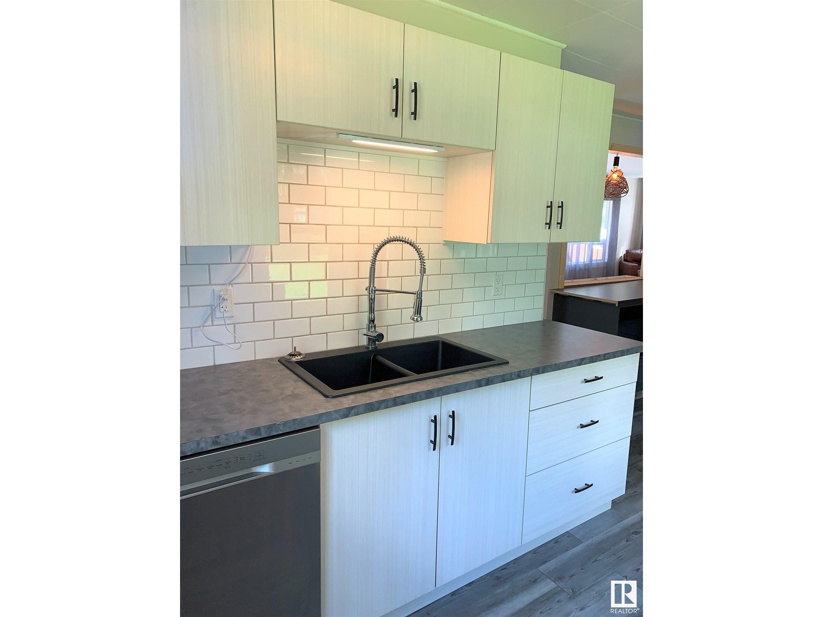 Property at 1270 47436 RR 15 Mission Beach image 3