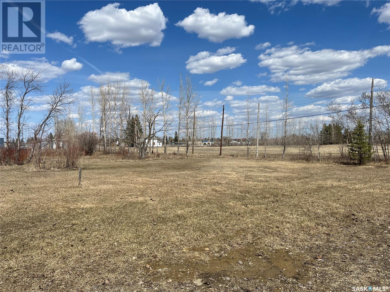 408 Kozar Avenue, Foam Lake, Saskatchewan  S0A 1A0 - Photo 11 - SK999093