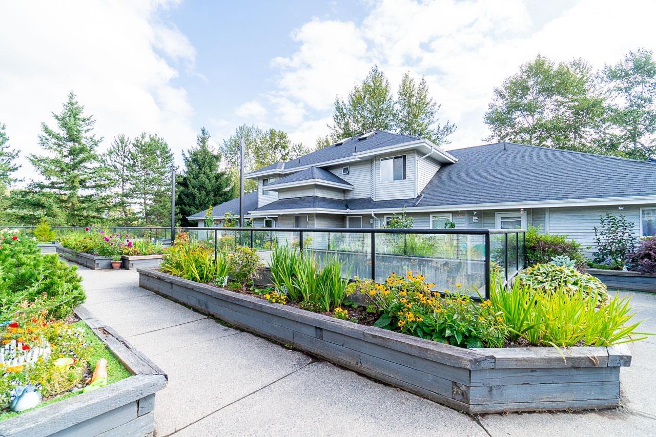 11 13670 84 Avenue, Surrey, British Columbia  V3W 0T6 - Photo 30 - R2978466