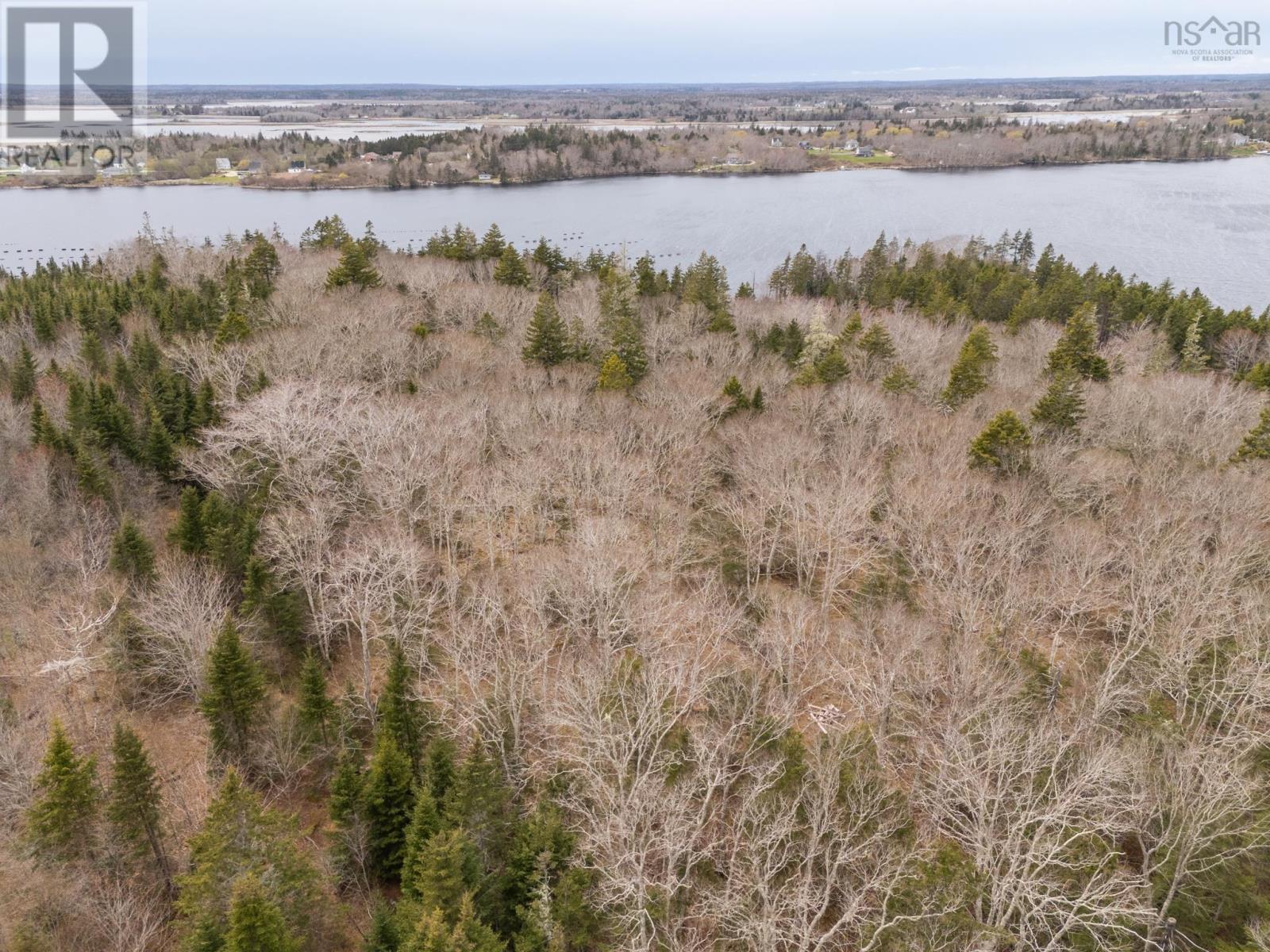 Lot Belleville Road, Belleville, Nova Scotia  B0W 3M0 - Photo 2 - 202505109