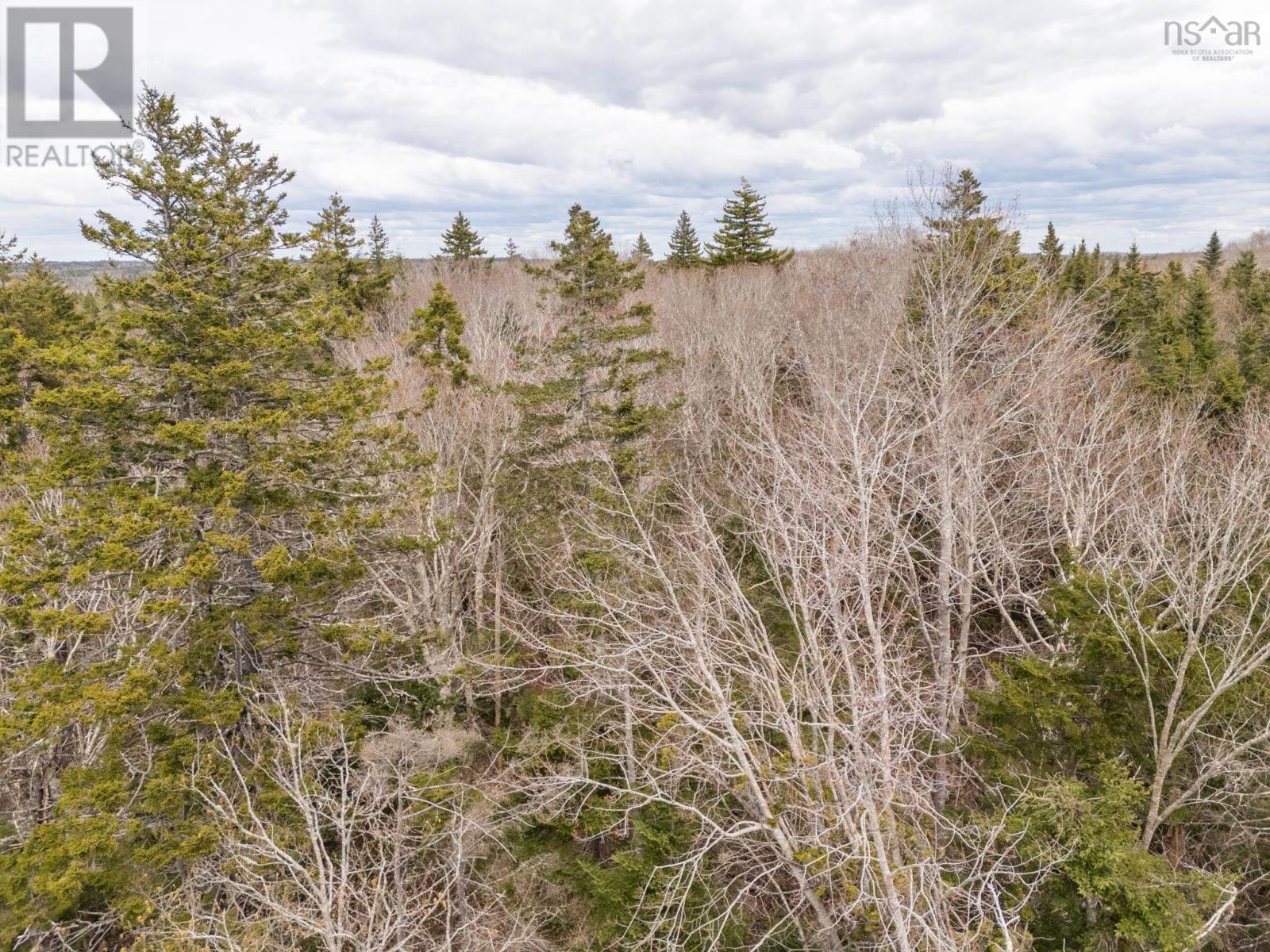 Lot Belleville Road, Belleville, Nova Scotia B0W 3M0 - Photo 4 - 202505109