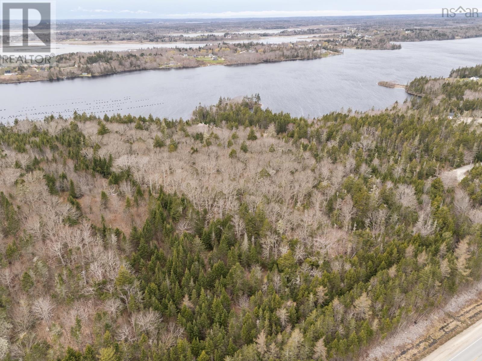 Lot Belleville Road, Belleville, Nova Scotia B0W 3M0 - Photo 5 - 202505109