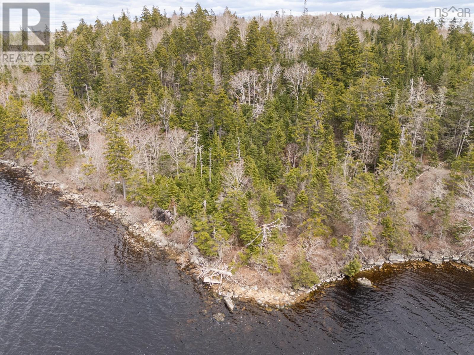 Lot Belleville Road, Belleville, Nova Scotia B0W 3M0 - Photo 7 - 202505109