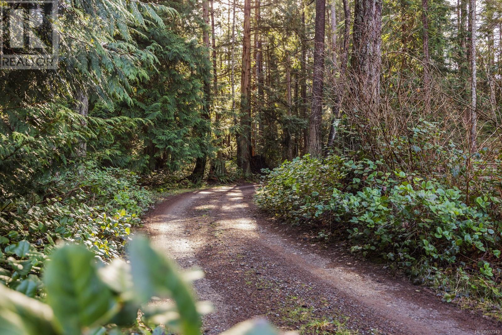 6055 Maclean Rd, Hornby Island, British Columbia  V0R 1Z0 - Photo 12 - 992243