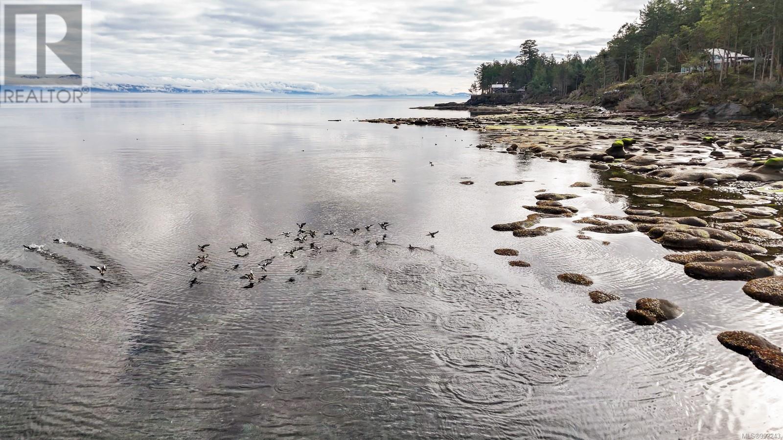 6055 Maclean Rd, Hornby Island, British Columbia  V0R 1Z0 - Photo 32 - 992243