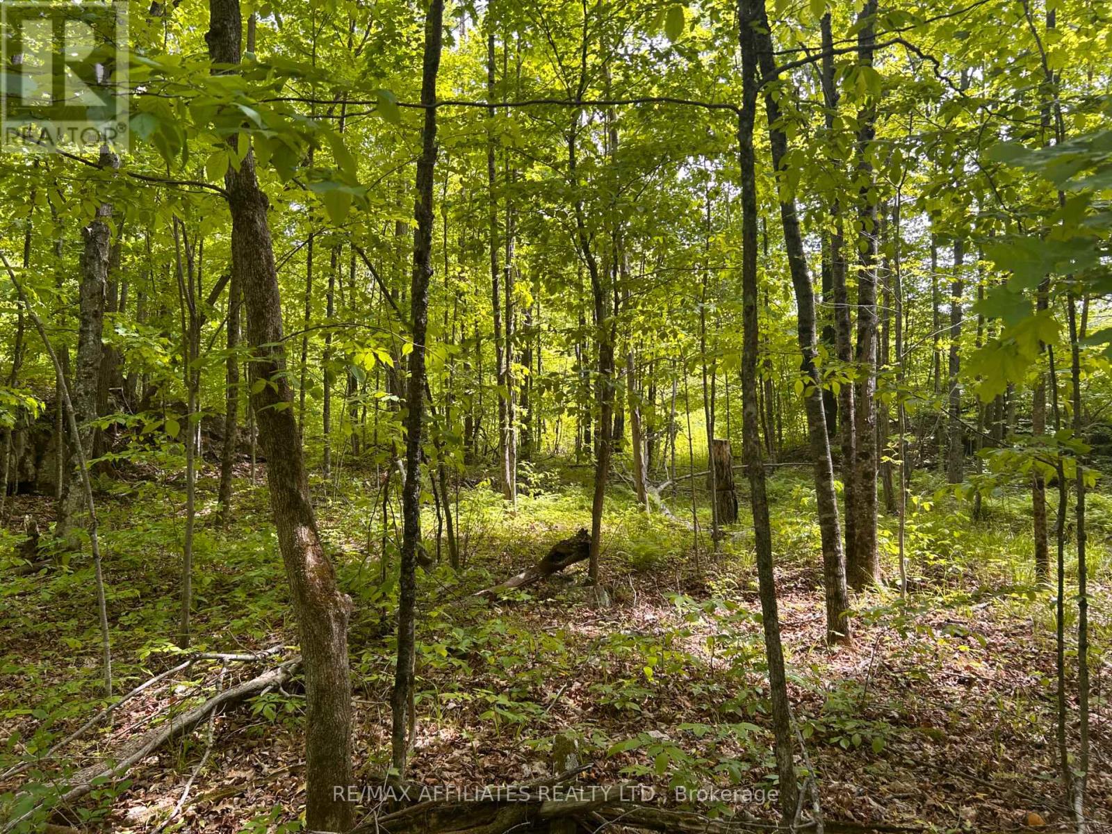 00 Ebbs Bay Road, Drummond/north Elmsley, Ontario  K7C 4K8 - Photo 10 - X12024892