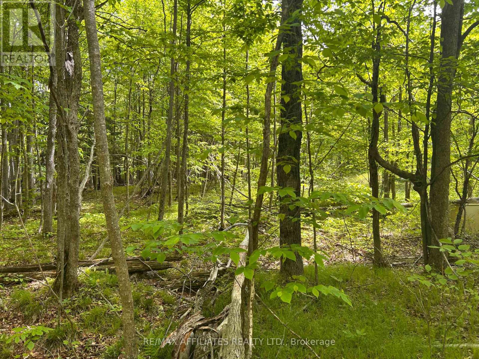 00 Ebbs Bay Road, Drummond/north Elmsley, Ontario  K7C 4K8 - Photo 11 - X12024892