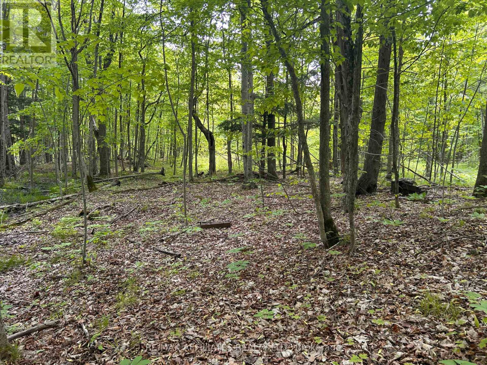 00 Ebbs Bay Road, Drummond/north Elmsley, Ontario  K7C 4K8 - Photo 12 - X12024892