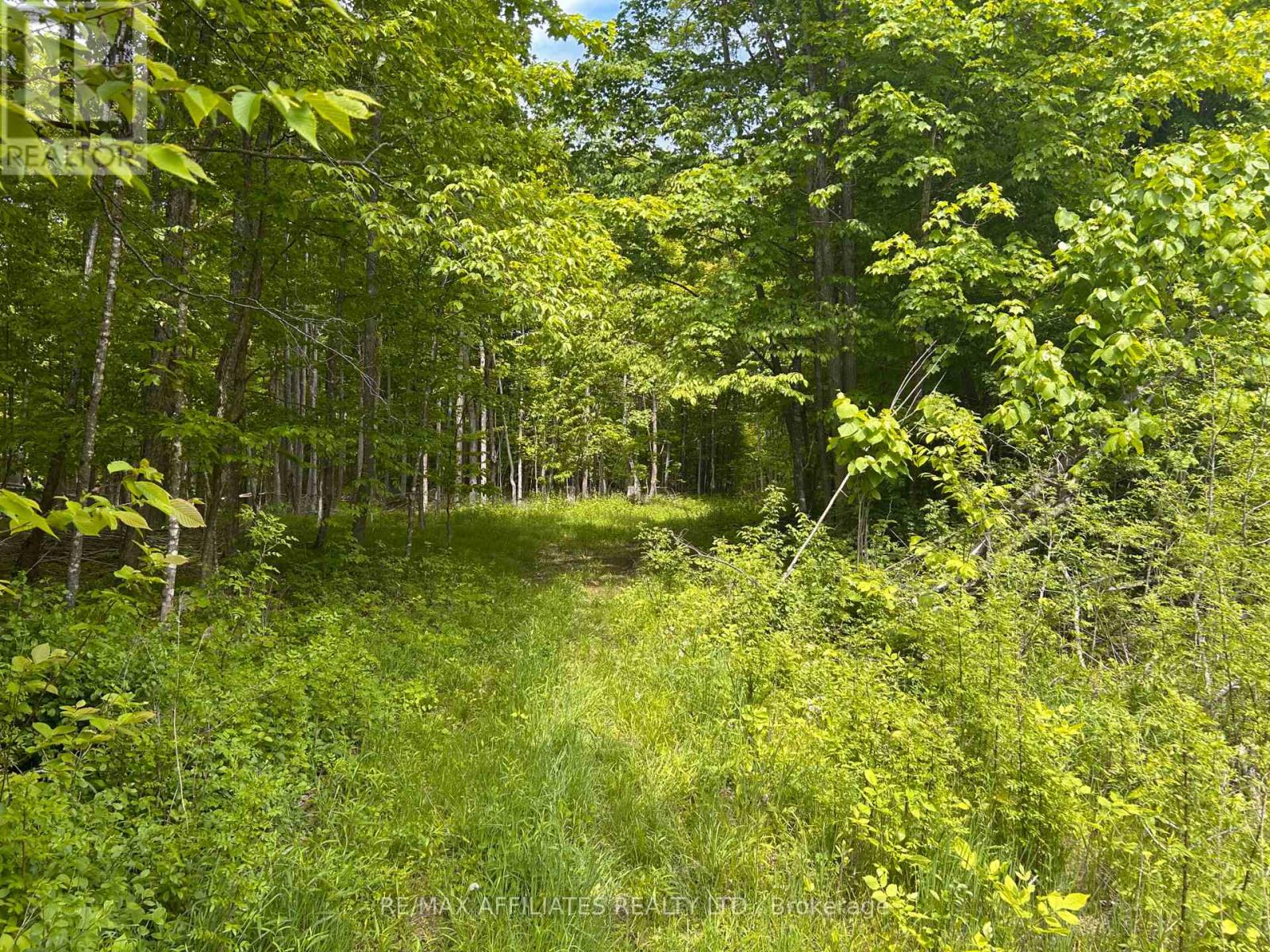 00 Ebbs Bay Road, Drummond/north Elmsley, Ontario  K7C 4K8 - Photo 7 - X12024892