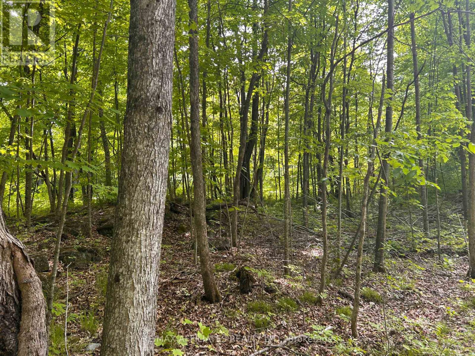 00 Ebbs Bay Road, Drummond/north Elmsley, Ontario  K7C 4K8 - Photo 8 - X12024892