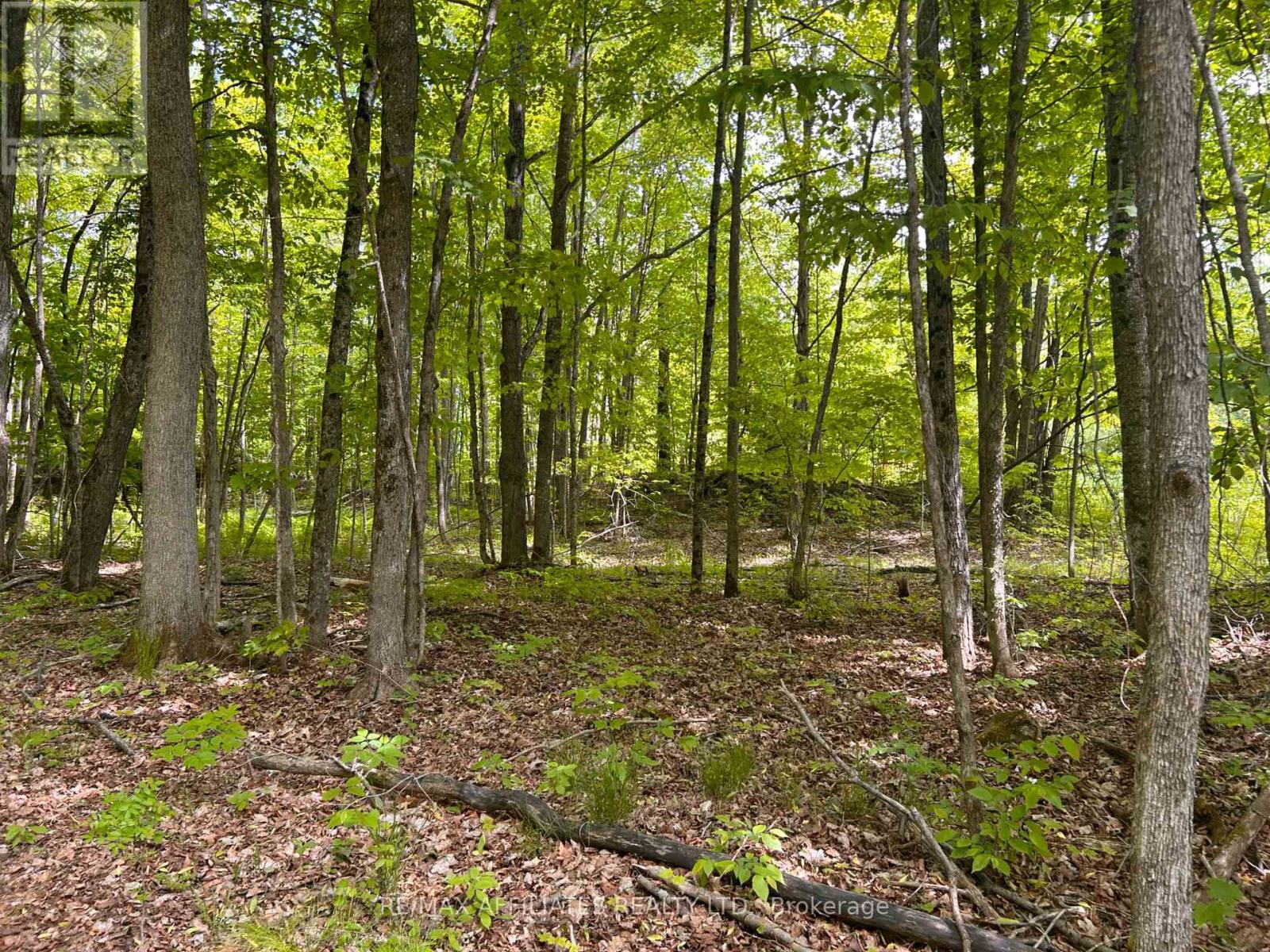 00 Ebbs Bay Road, Drummond/north Elmsley, Ontario  K7C 4K8 - Photo 9 - X12024892
