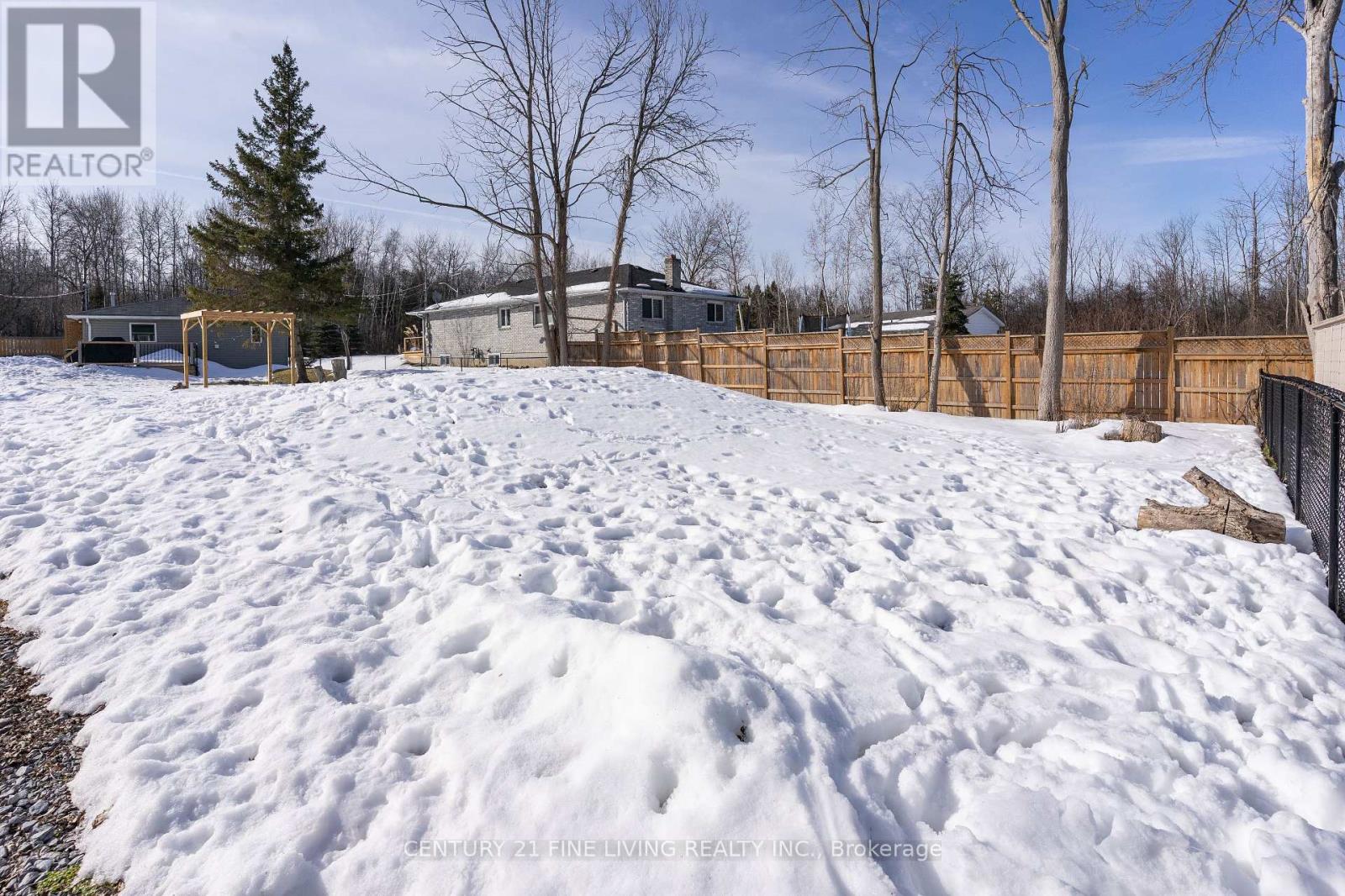 6286 Black River Road, Georgina, Ontario  L0E 1R0 - Photo 12 - N12025120