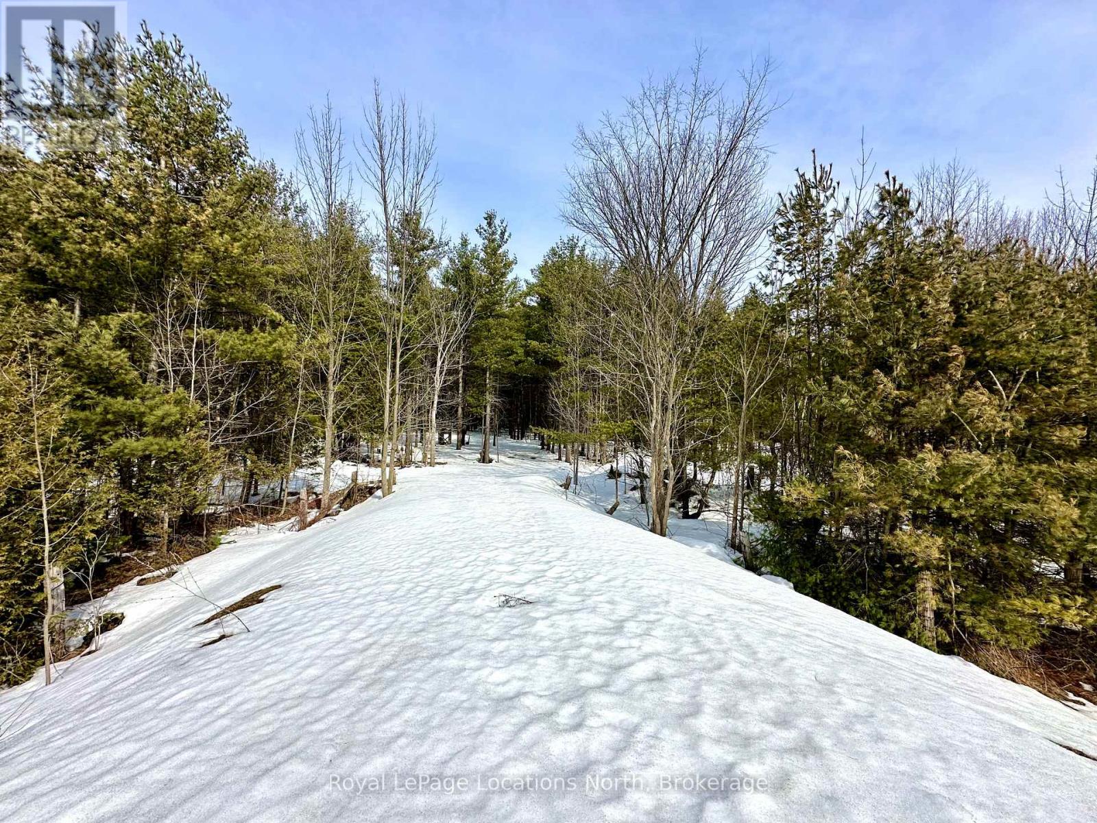 777215 Highway 10, Chatsworth, Ontario  N0H 1R0 - Photo 2 - X12025155