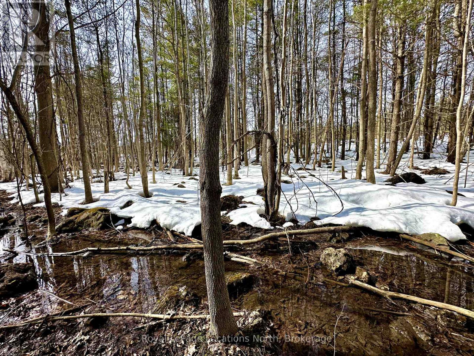 777215 Highway 10, Chatsworth, Ontario  N0H 1R0 - Photo 24 - X12025155