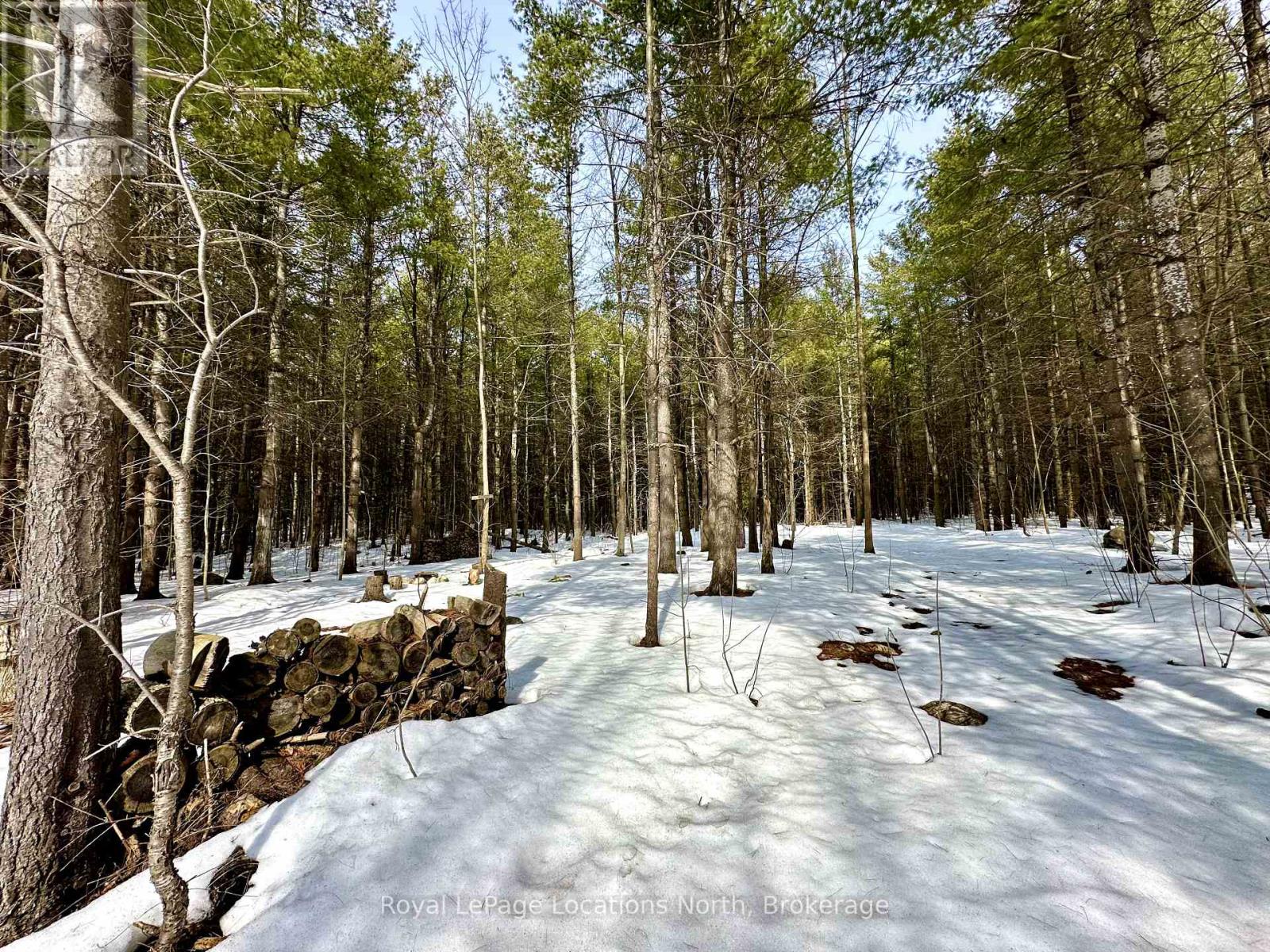 777215 Highway 10, Chatsworth, Ontario  N0H 1R0 - Photo 5 - X12025155