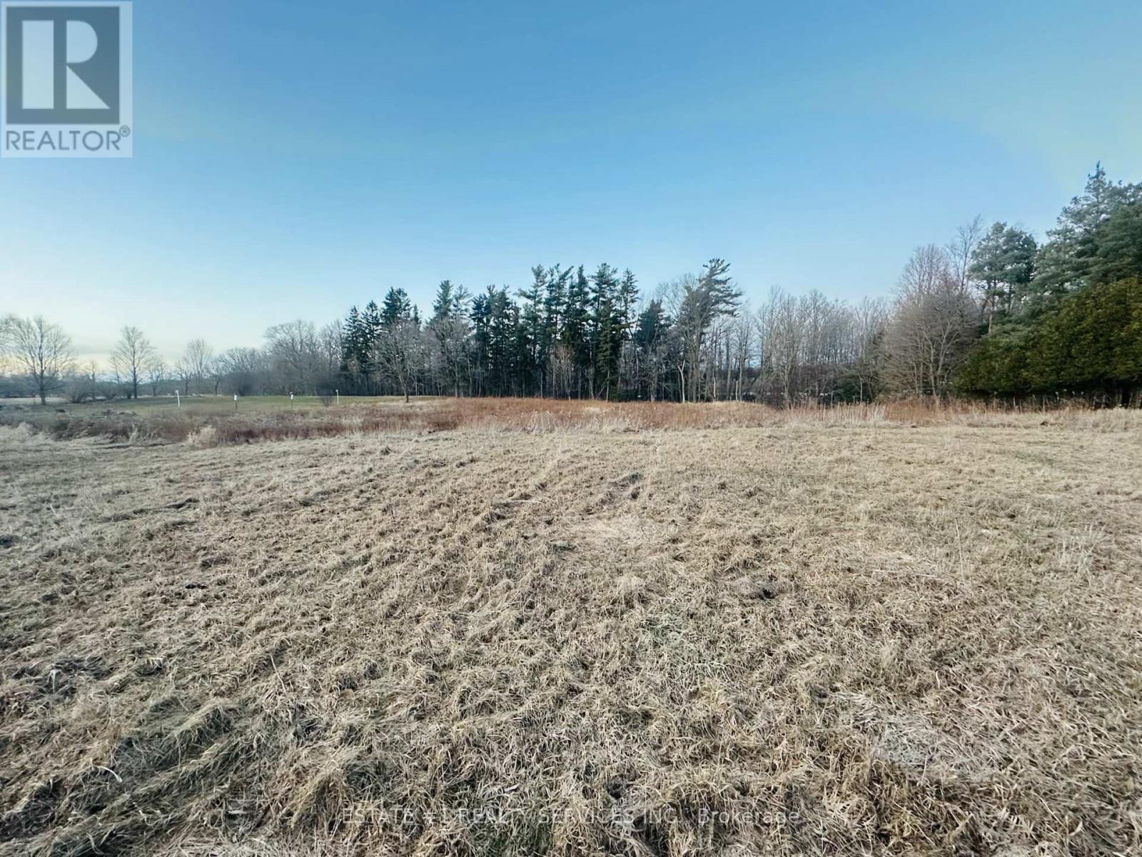 10231 Old Pinecrest Road, Brampton (Northwest Brampton), Ontario  L7A 0A4 - Photo 7 - W12024830