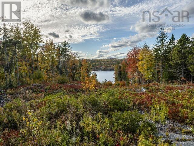 142 Piggott Avenue, Fall River, Nova Scotia  B2T 1S6 - Photo 50 - 202505136