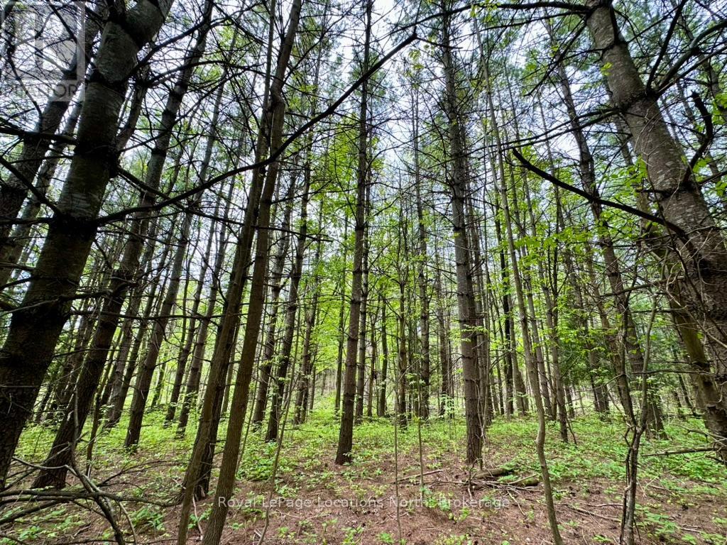 777215 Highway 10, Chatsworth, Ontario  N0H 1R0 - Photo 22 - X12025203