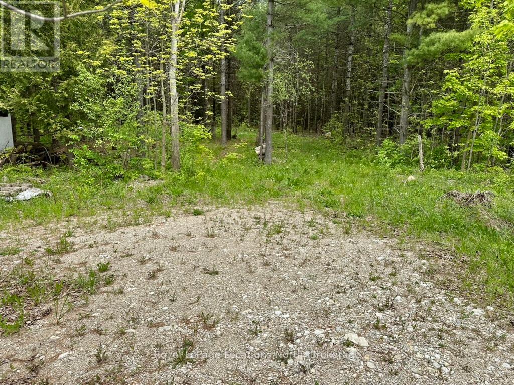 777215 Highway 10, Chatsworth, Ontario  N0H 1R0 - Photo 34 - X12025203