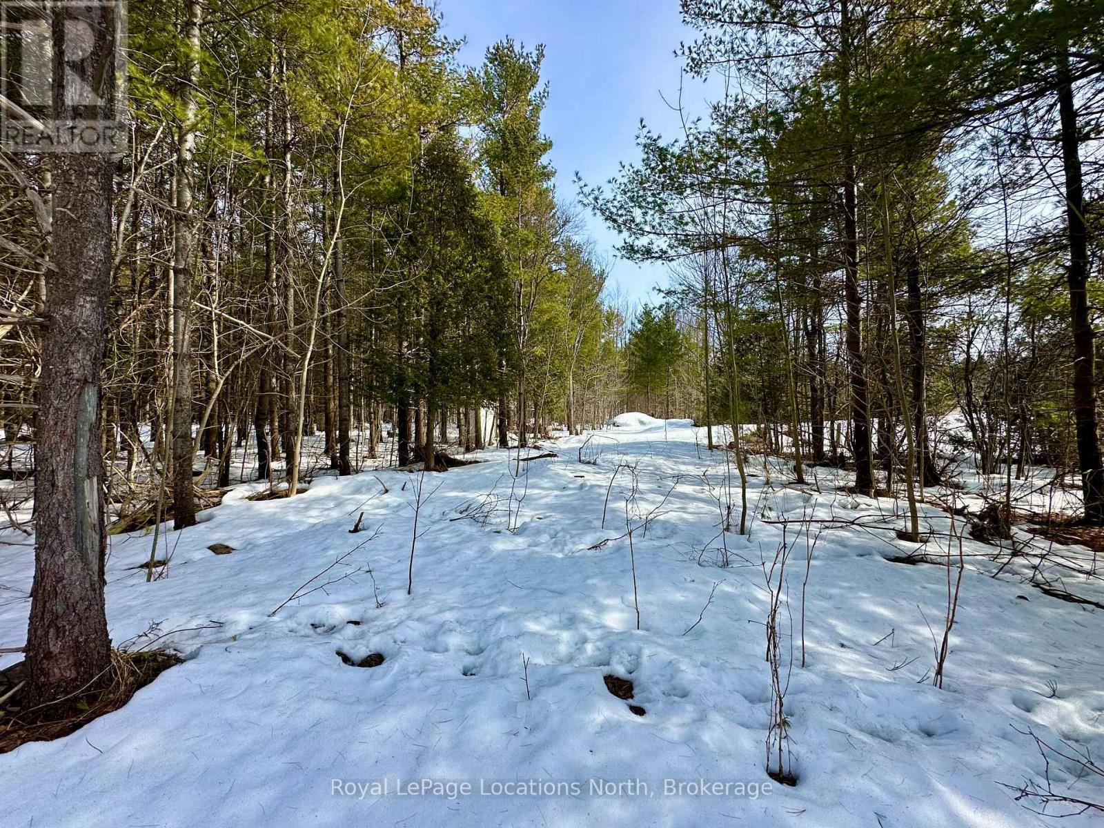 777215 Highway 10, Chatsworth, Ontario  N0H 1R0 - Photo 4 - X12025203