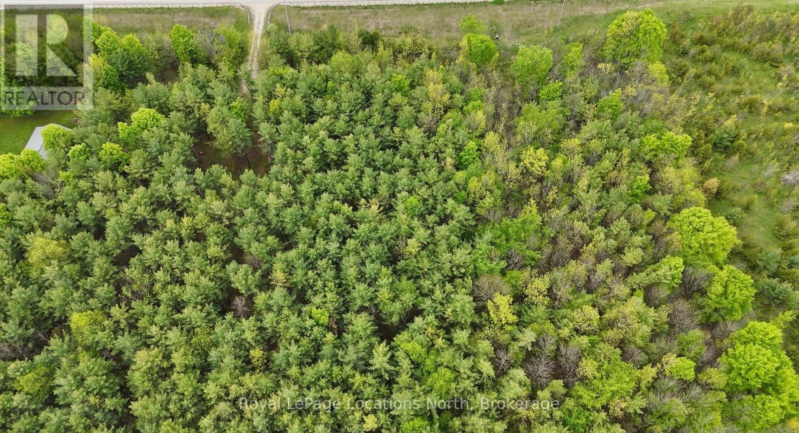 777215 Highway 10, Chatsworth, Ontario  N0H 1R0 - Photo 5 - X12025203