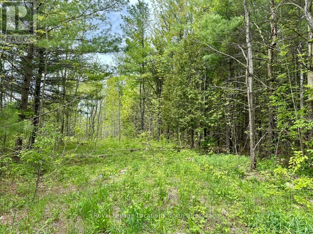 777215 Highway 10, Chatsworth, Ontario  N0H 1R0 - Photo 9 - X12025203