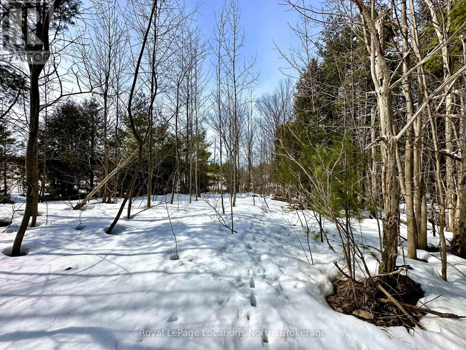 777215 Highway 10, Chatsworth, Ontario  N0H 1R0 - Photo 26 - X12025155