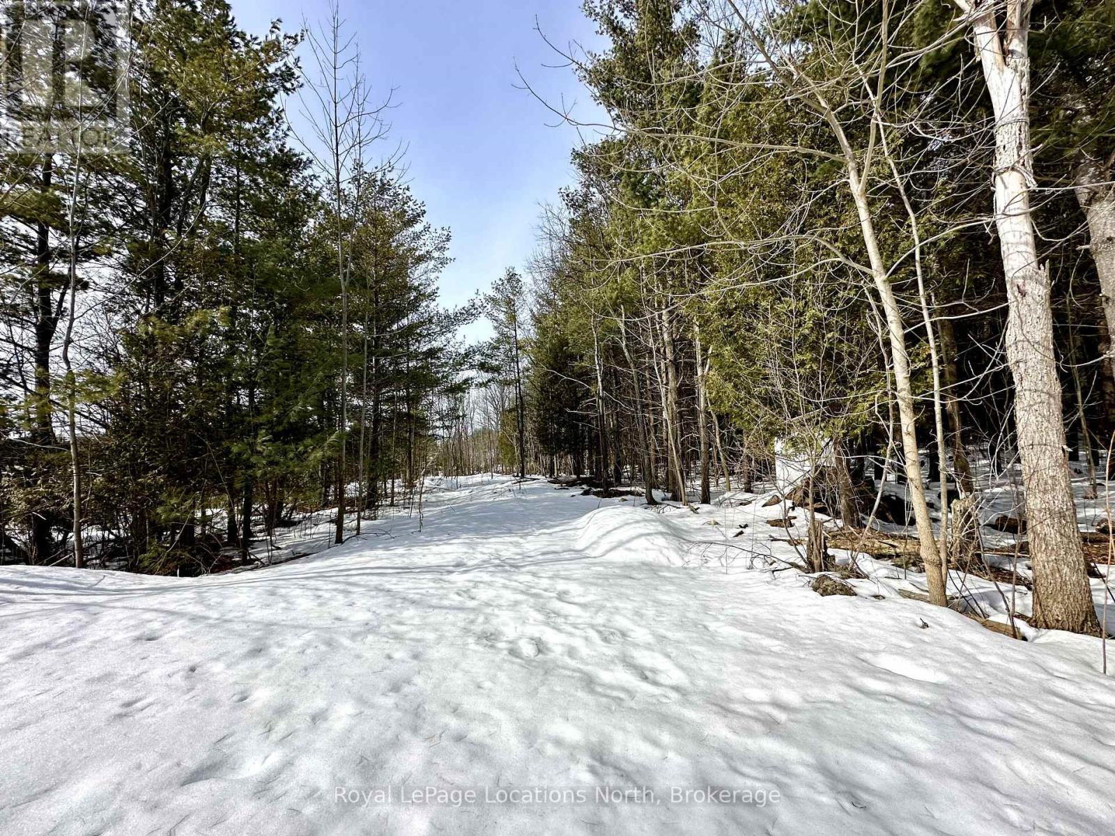 777215 Highway 10, Chatsworth, Ontario  N0H 1R0 - Photo 29 - X12025155