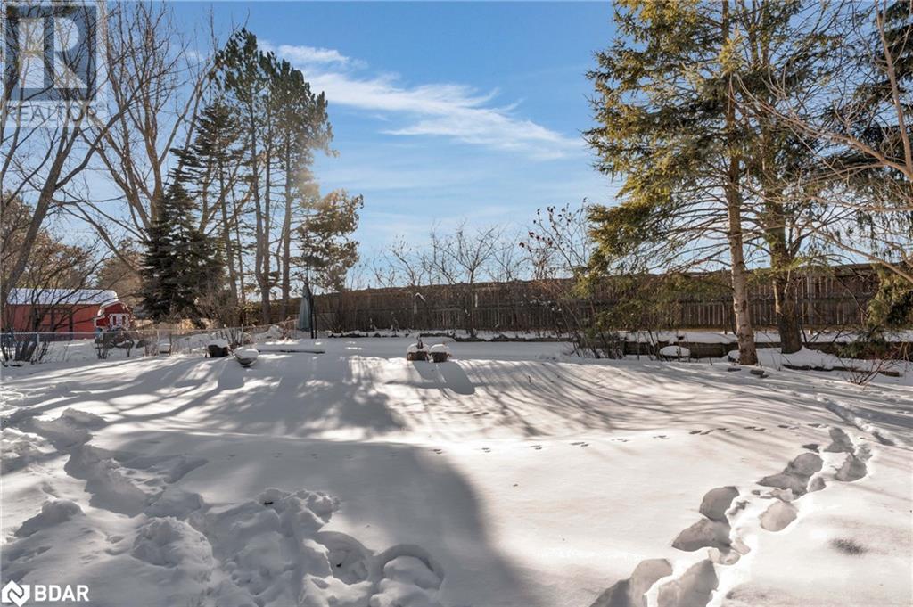 203 Camilla Crescent, Thornton, Ontario  L0L 2N0 - Photo 41 - 40697411