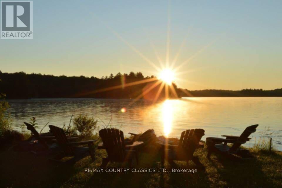 649 Anst Lake Wao, North Kawartha, Ontario  K0L 1A0 - Photo 43 - X12025372