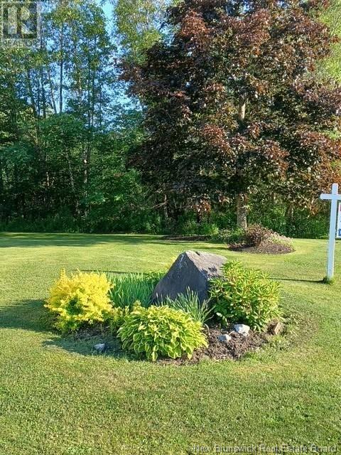 48 Renfrew Street, Petitcodiac, New Brunswick  E4Z 4S7 - Photo 9 - NB113950