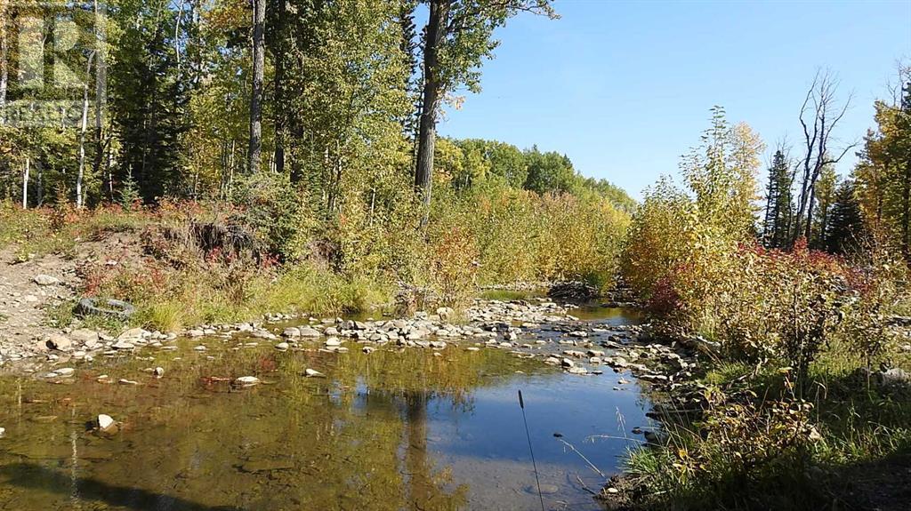 108 Acres Bordering Kananaskis, Rural Foothills County, Alberta  T0L 1K0 - Photo 29 - A2198444