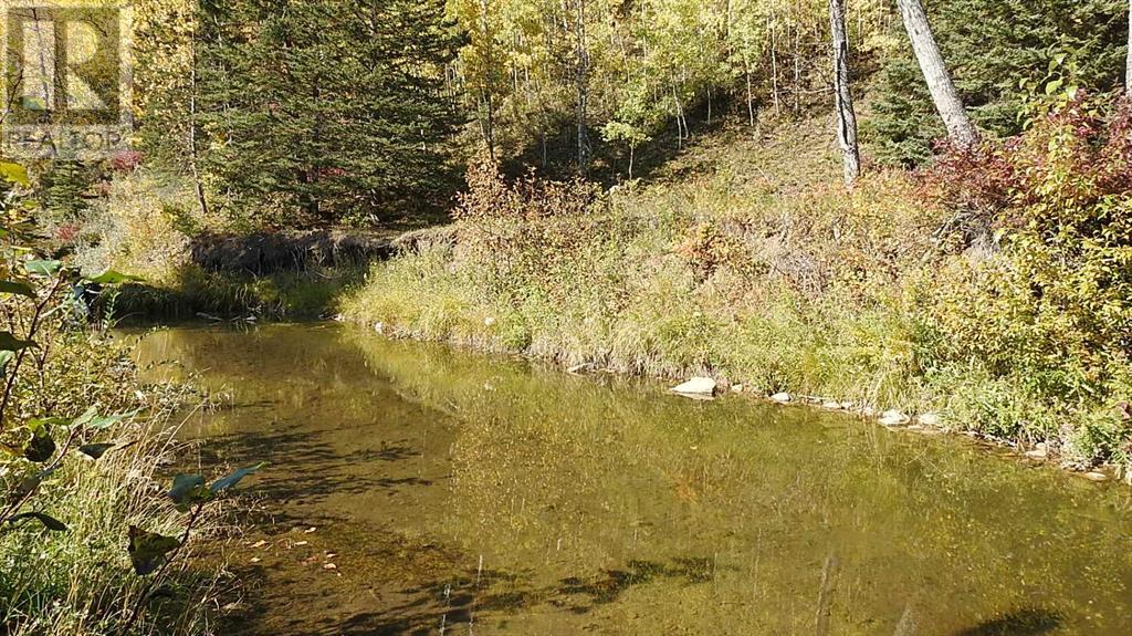108 Acres Bordering Kananaskis, Rural Foothills County, Alberta  T0L 1K0 - Photo 30 - A2198444