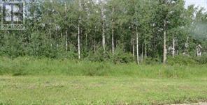 122 Wolf Run Drive, Rural Ponoka County, Alberta  T4J 1R3 - Photo 3 - A2032926