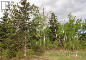122 Wolf Run Drive, Rural Ponoka County, Alberta  T4J 1R3 - Photo 5 - A2032926
