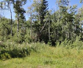 122 Wolf Run Drive, Rural Ponoka County, Alberta  T4J 1R3 - Photo 6 - A2032926