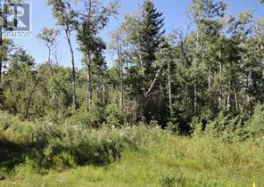 122 Wolf Run Drive, Rural Ponoka County, Alberta  T4J 1R3 - Photo 4 - A2032926