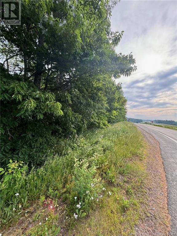 Property at 9321 Route 3 image 3