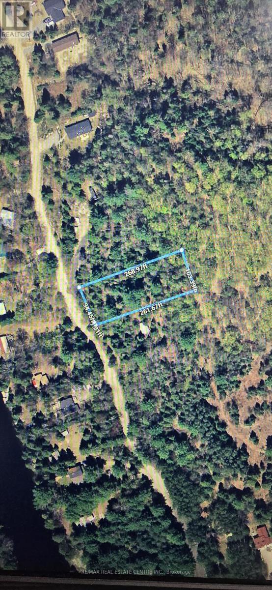 107 Balsam Chutes Road, Huntsville, Ontario  P0B 1L0 - Photo 6 - X12025626