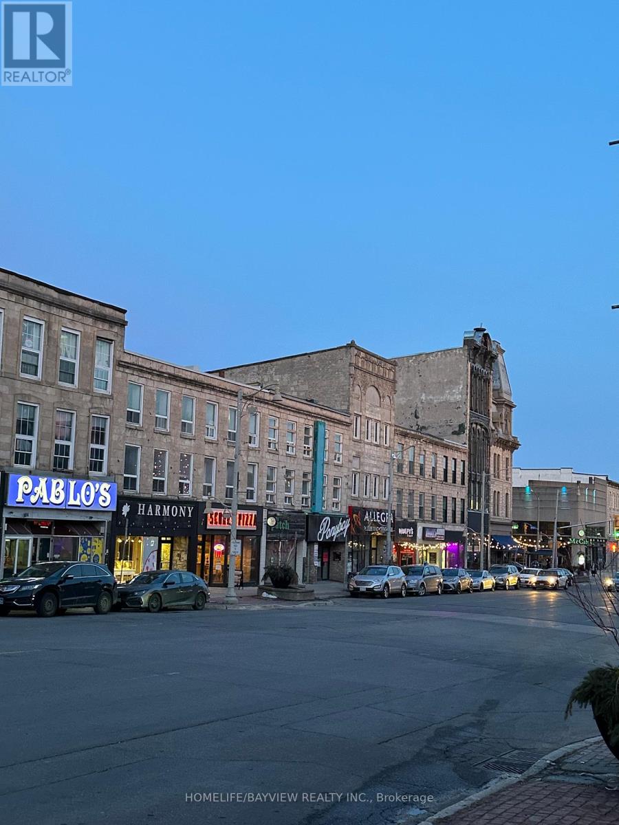 Lower - B1 - 45 Wyndham Street N, Guelph, Ontario  N1H 4C9 - Photo 19 - X12025812