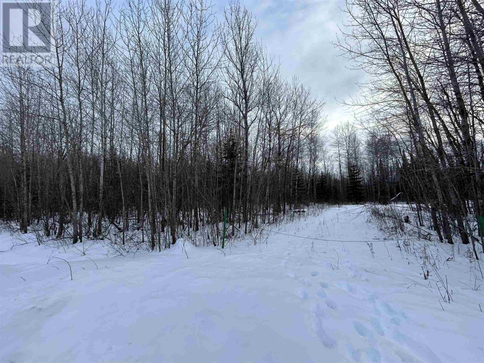 905 Frog Creek Rd, Alberton, Ontario  P9A 3M2 - Photo 10 - TB250015