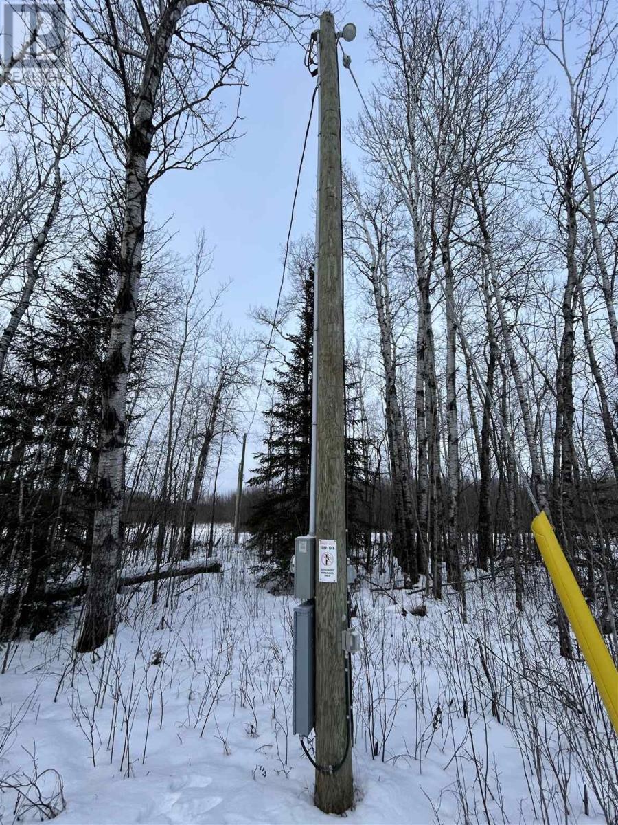 905 Frog Creek Rd, Alberton, Ontario  P9A 3M2 - Photo 12 - TB250015