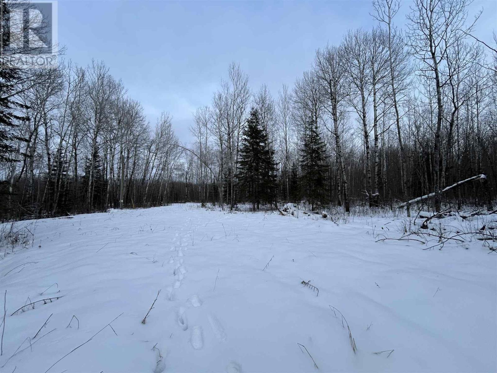 905 Frog Creek Rd, Alberton, Ontario  P9A 3M2 - Photo 2 - TB250015