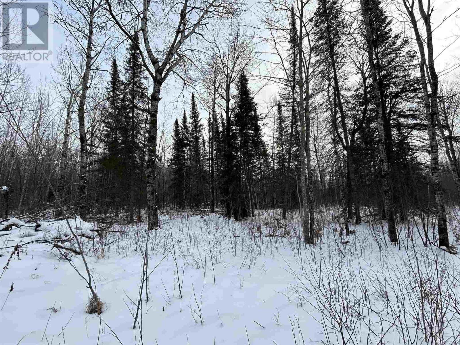 905 Frog Creek Rd, Alberton, Ontario  P9A 3M2 - Photo 5 - TB250015