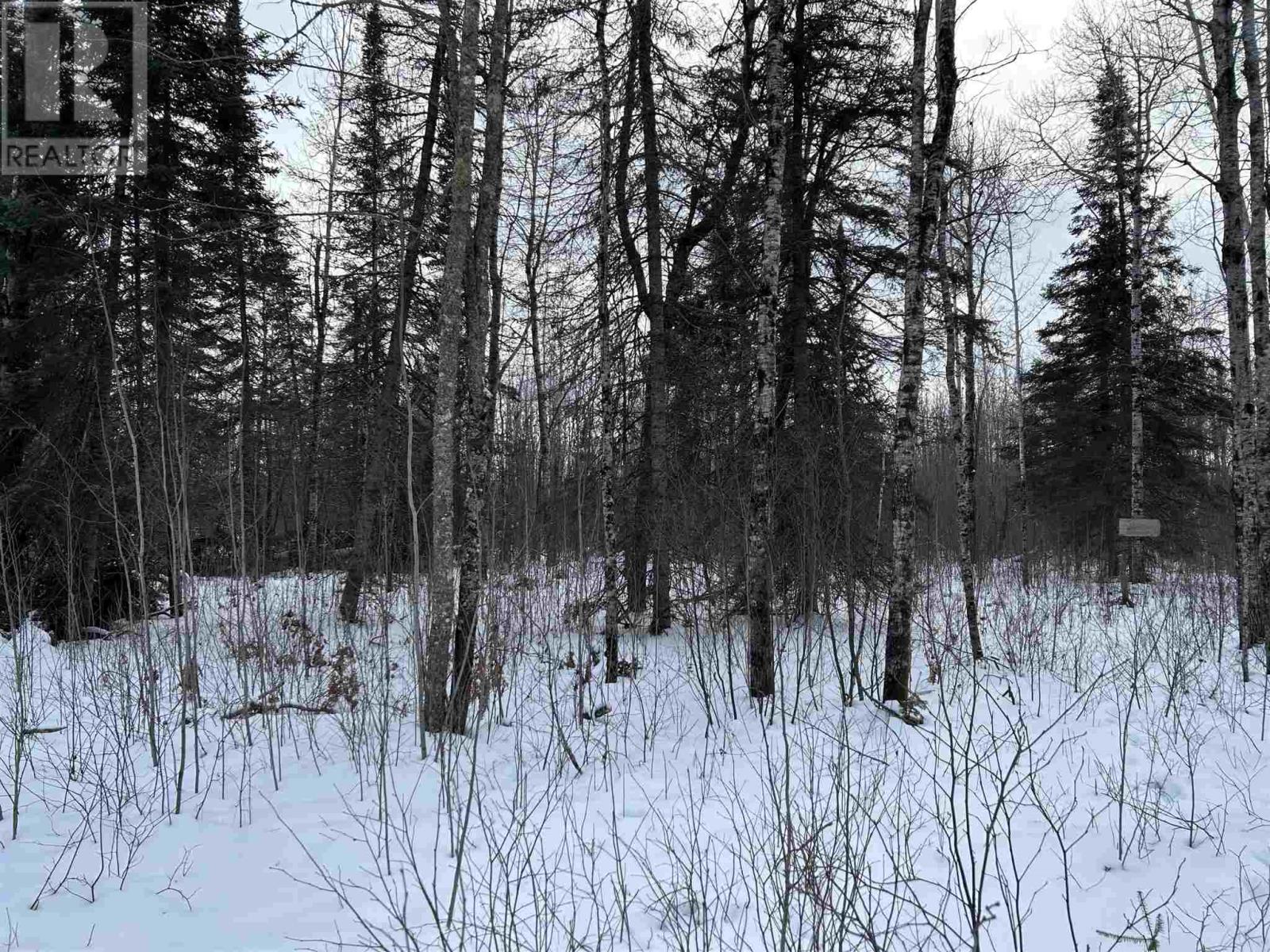 905 Frog Creek Rd, Alberton, Ontario  P9A 3M2 - Photo 6 - TB250015